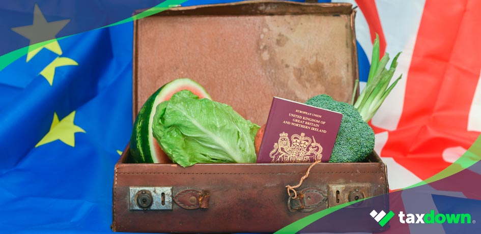 Maleta de un extranjero, con un pasaporte, verduras y declaración de la renta